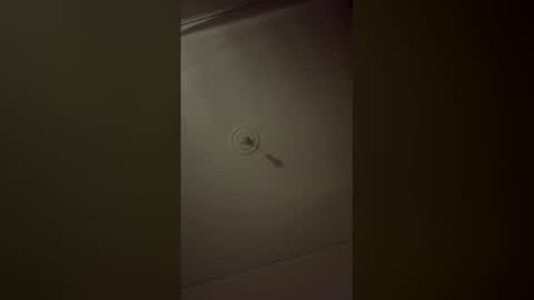isabellatsvbaby online show from 05-03-26, 02:23