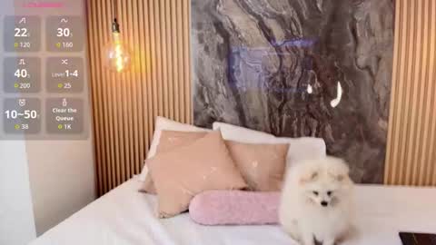 Snapshot of isadora_14 chatting on 10-13-25, 02:28 ISADORA online show from 10-13-25, 02:28