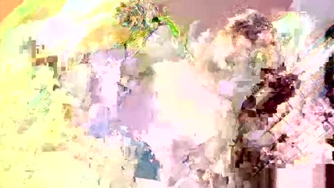 Snapshot of islandboy_ethan chatting on 05-13-26, 04:04 Nathaniel online show from 05-13-26, 04:04