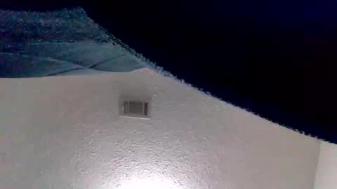 Snapshot of islandmaker chatting on 11-04-25, 02:10 islandmaker online show from 11-04-25, 02:10