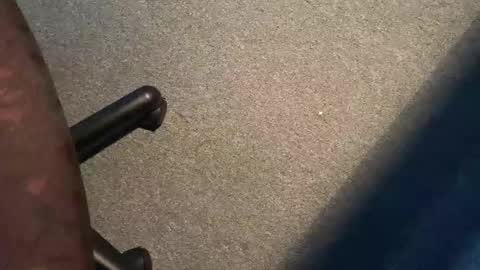 ispm online show from 10-24-25, 12:01