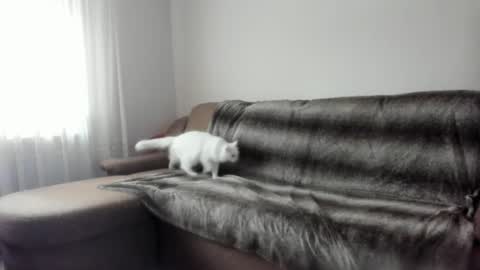 Issabelle online show from 02-09-25, 07:16