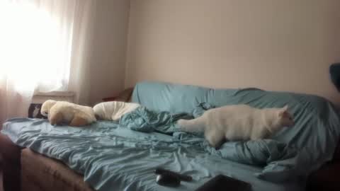 Issabelle online show from 03-04-25, 06:26