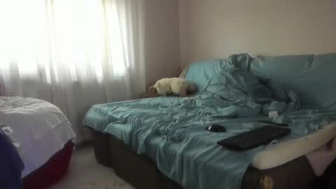 Issabelle online show from 10-20-25, 05:08