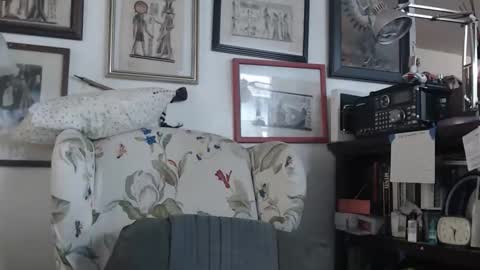 ImYourBitch online show from 05-17-26, 05:31
