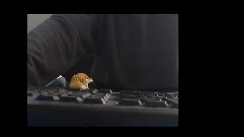 Snapshot of ital25usa chatting on 01-10-26, 10:06 ital25usa online show from 01-10-26, 10:06