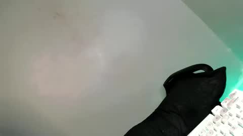 Snapshot of its_me_arabella chatting on 02-21-25, 07:56 Bella online show from 02-21-25, 07:56