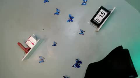 Snapshot of its_me_arabella chatting on 12-15-25, 05:34 Bella online show from 12-15-25, 05:34