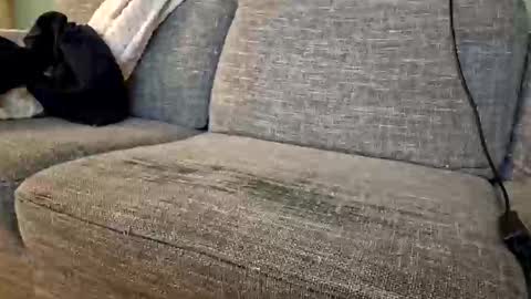 Snapshot of itsjeroen chatting on 11-02-25, 01:52 itsjeroen online show from 11-02-25, 01:52