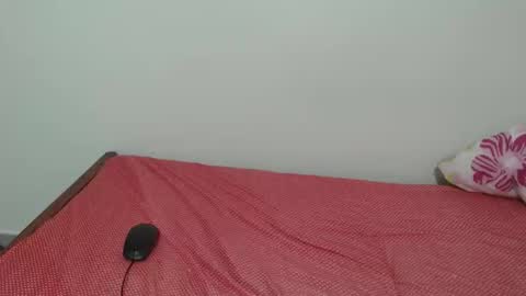 Laynne online show from 11-11-25, 09:53