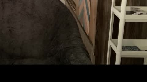 Raje online show from 10-29-25, 05:42