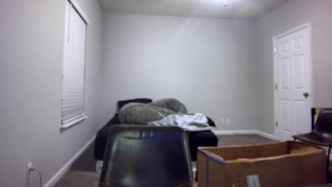 TARZAN online show from 12-13-24, 07:04