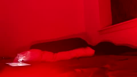 Snapshot of j4ckoff chatting on 11-22-25, 05:50 j4ckoff online show from 11-22-25, 05:50