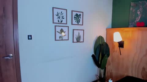 Snapshot of jabob_coper chatting on 11-25-25, 03:17 David online show from 11-25-25, 03:17