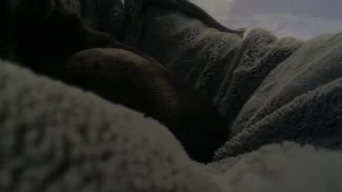 Snapshot of jackad44 chatting on 10-17-25, 06:32 jackad44 online show from 10-17-25, 06:32