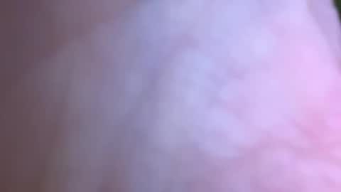 Snapshot of jackjackerman chatting on 05-16-26, 02:49 jackjackerman online show from 05-16-26, 02:49
