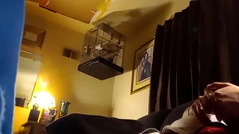 Jay Milwaukee online show from 12-23-24, 08:11