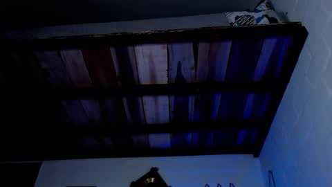 Snapshot of jacob_zane1 chatting on 03-12-25, 04:51 Michael Caicedo online show from 03-12-25, 04:51