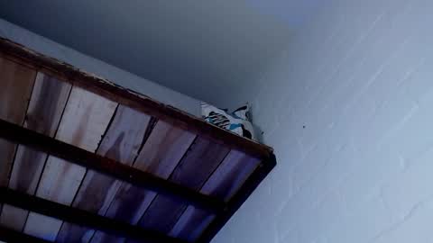 Snapshot of jacob_zane1 chatting on 03-12-25, 07:57 Michael Caicedo online show from 03-12-25, 07:57