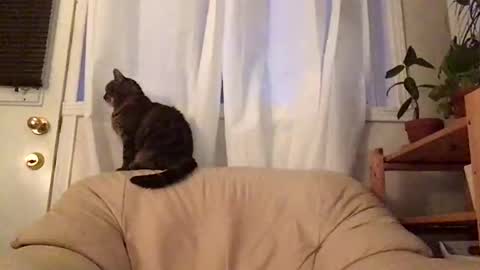 Jacob online show from 10-19-25, 11:00