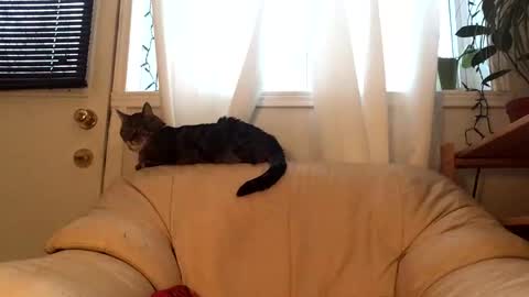 Jacob online show from 02-17-26, 09:54