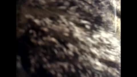 Jacob online show from 03-24-26, 12:43