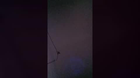 jaimepasivo777 online show from 07-13-26, 07:00