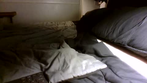 Jamacian online show from 09-30-25, 03:00