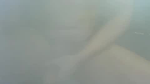 Snapshot of james2377_ chatting on 12-22-25, 02:25 James2377 online show from 12-22-25, 02:25