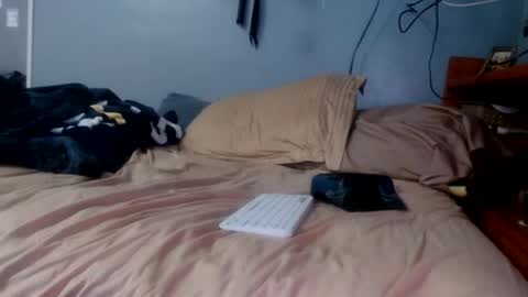 what you in too online show from 04-07-26, 06:41