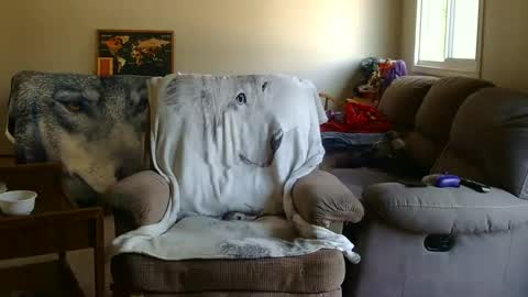 Snapshot of jameswolf777 chatting on 09-09-25, 05:34 jameswolf777 online show from 09-09-25, 05:34