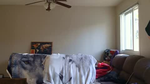 Snapshot of jameswolf777 chatting on 09-13-25, 11:48 jameswolf777 online show from 09-13-25, 11:48