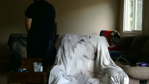 Snapshot of jameswolf777 chatting on 09-27-25, 02:44 jameswolf777 online show from 09-27-25, 02:44