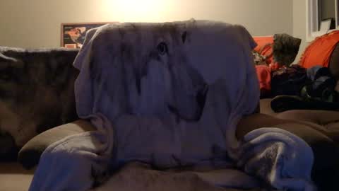 jameswolf777 online show from 12-16-25, 02:44