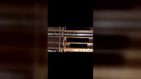 Snapshot of jamie19905 chatting on 03-04-26, 03:45 jamie19905 online show from 03-04-26, 03:45