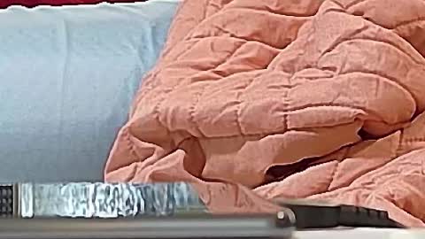 Bootyshows online show from 09-15-25, 12:38