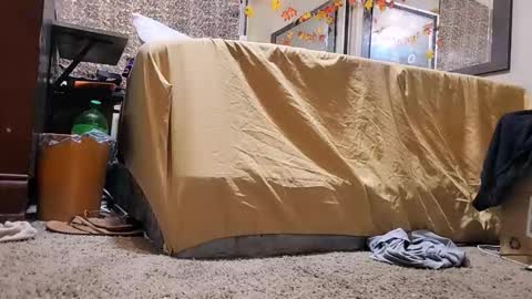 Bootyshows online show from 12-02-25, 12:43