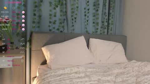 janetfletcher online show from 02-11-25, 12:37