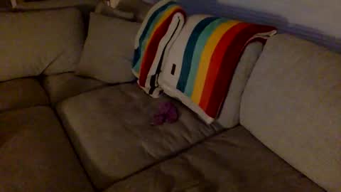 Snapshot of janicepepper chatting on 12-18-25, 10:32 janicepepper online show from 12-18-25, 10:32