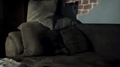 Snapshot of jasio29 chatting on 02-22-25, 09:04 Jan88 online show from 02-22-25, 09:04