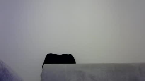 jaspal55 online show from 11-09-25, 02:04