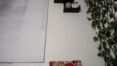 JKing  online show from 01-15-25, 02:49