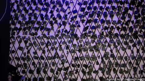 JKing  online show from 09-11-25, 11:05