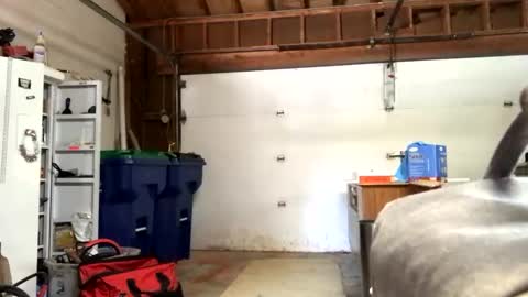 Jaws  online show from 09-12-25, 07:36