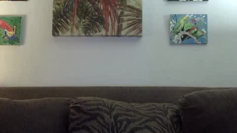 jay-jay1475 online show from 01-22-25, 06:10