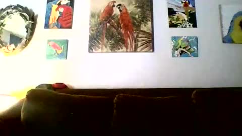 jay-jay1475 online show from 02-18-26, 06:15