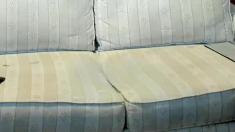 O F   jay short786 online show from 01-12-26, 12:49