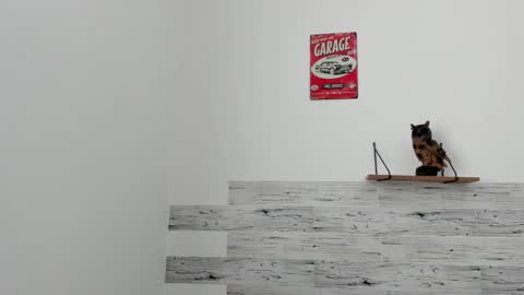 Jaycreedd online show from 03-07-25, 06:11