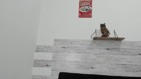 Jaycreedd online show from 11-11-25, 04:56