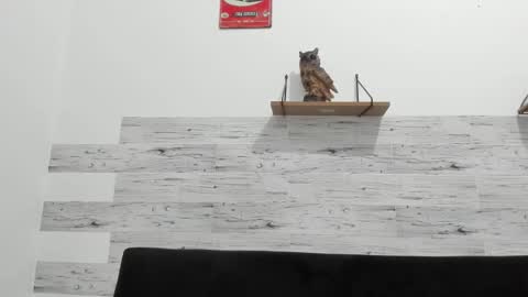 Jaycreedd online show from 01-14-26, 03:23